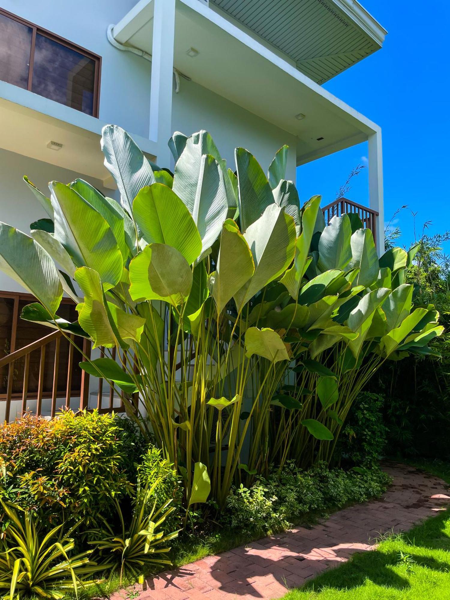 Red Picnic Hostel Panglao Exteriér fotografie